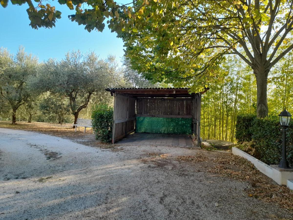 8380 Il Tiglio Verde Манчиано Экстерьер фото